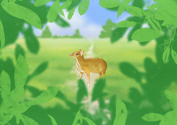 Nature and Conservation