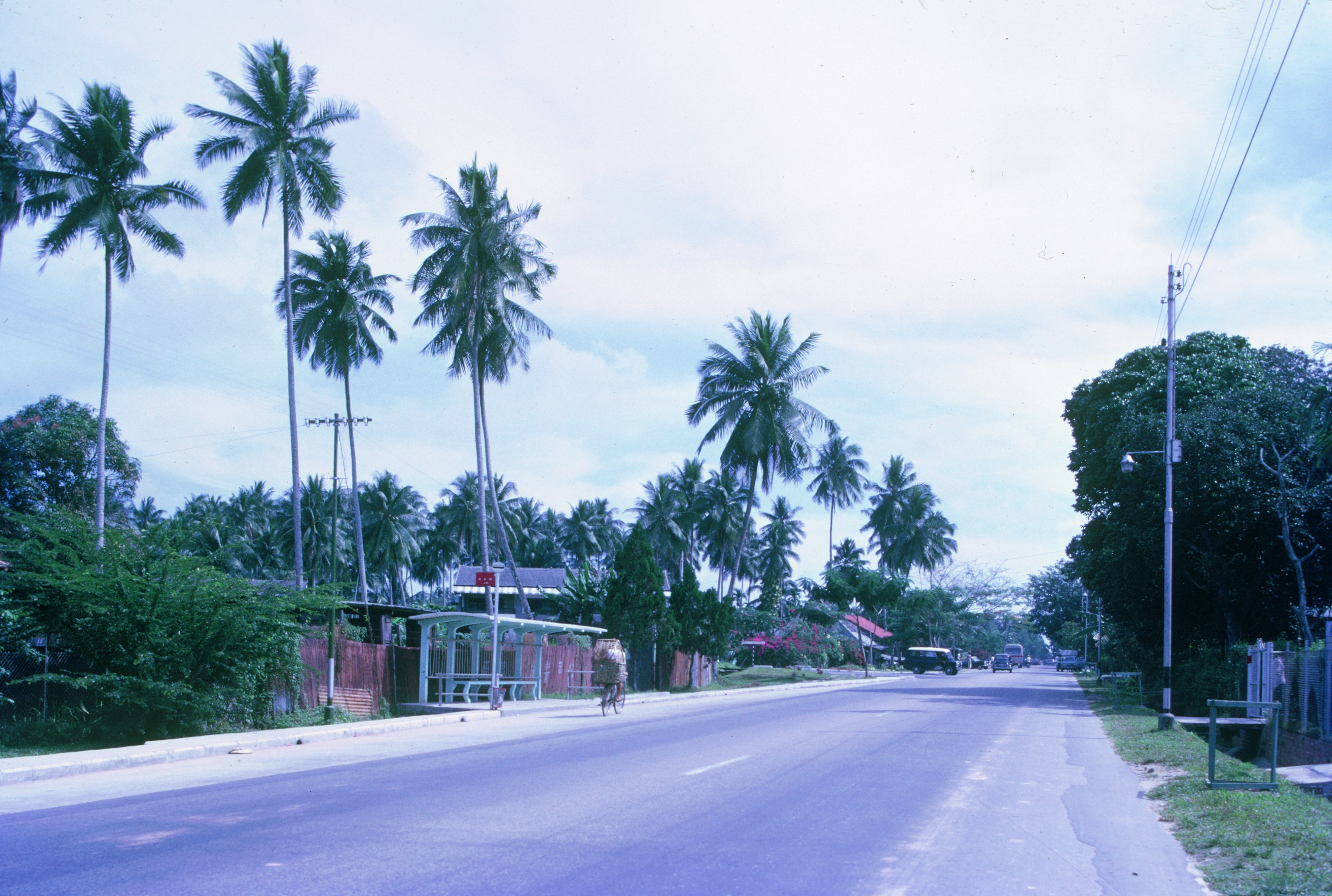 NL Interactive Narrative_Upper Serangoon Road general view bus stop