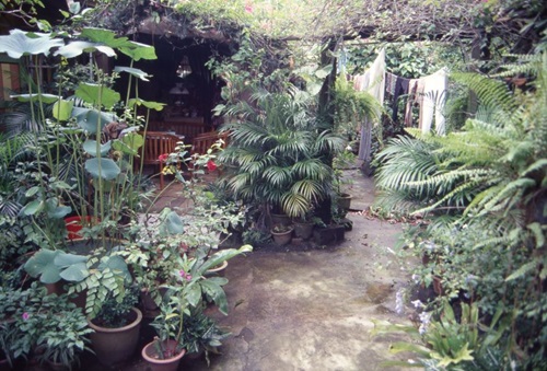 Outdoor home garden in Kampong Lorong Buangkok
