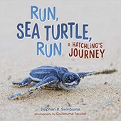 Run Sea Turtle Run A Hatchlings Journey