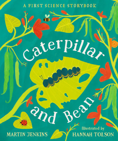 caterpillar-and-bean