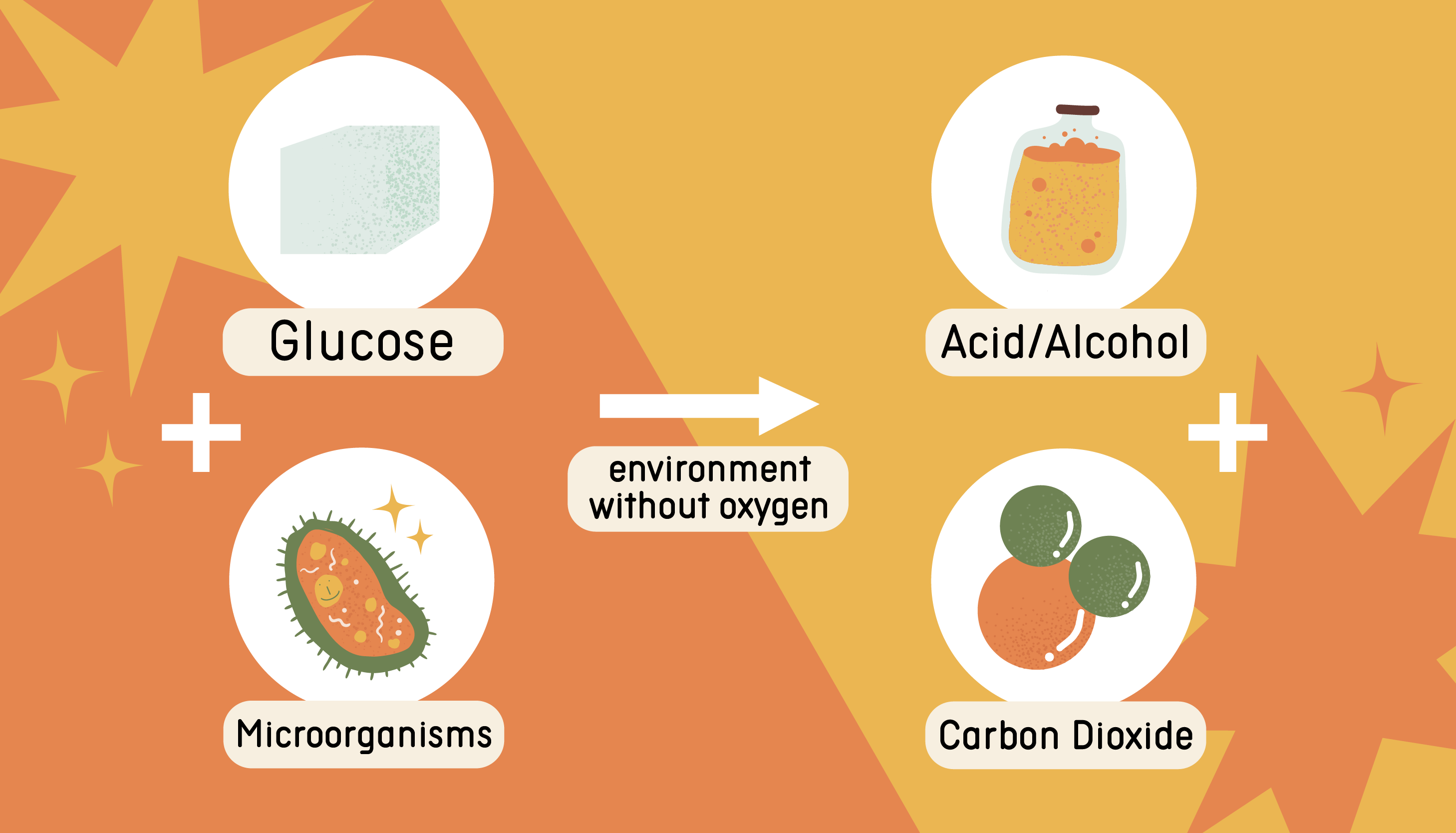 Glucose + Microorganisms in an environment without oxygen and acid/alcohol + carbon dioxide