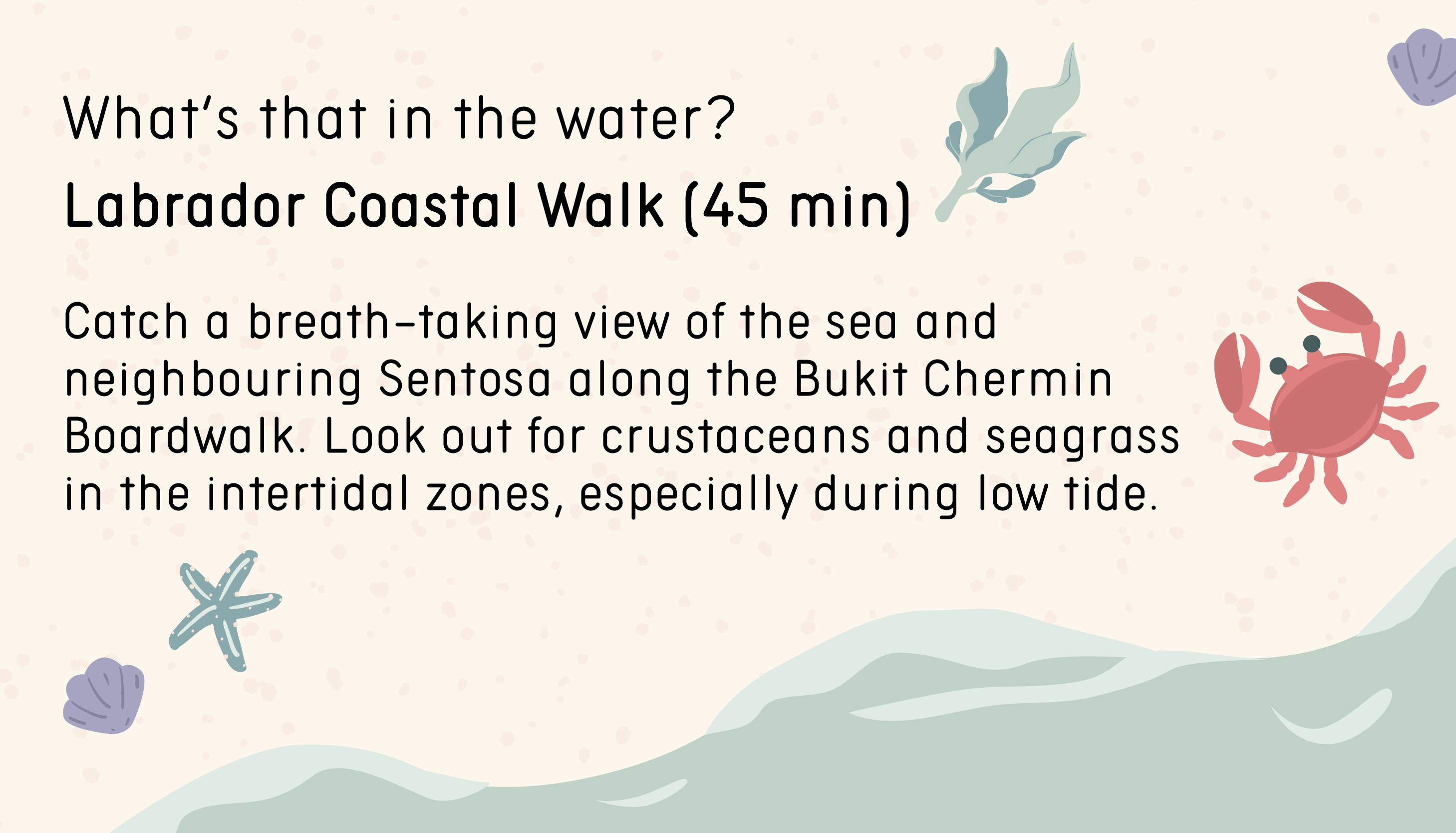 What’s that in the water? Labrador Coastal Walk (45 min). Catch a breath-taking view of the sea and neighbouring Sentosa along the Bukit Chermin Boardwalk. Look out for crustaceans and seagrass in the intertidal zones, especially during low tide.