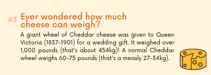 Mac & cheese fact 3