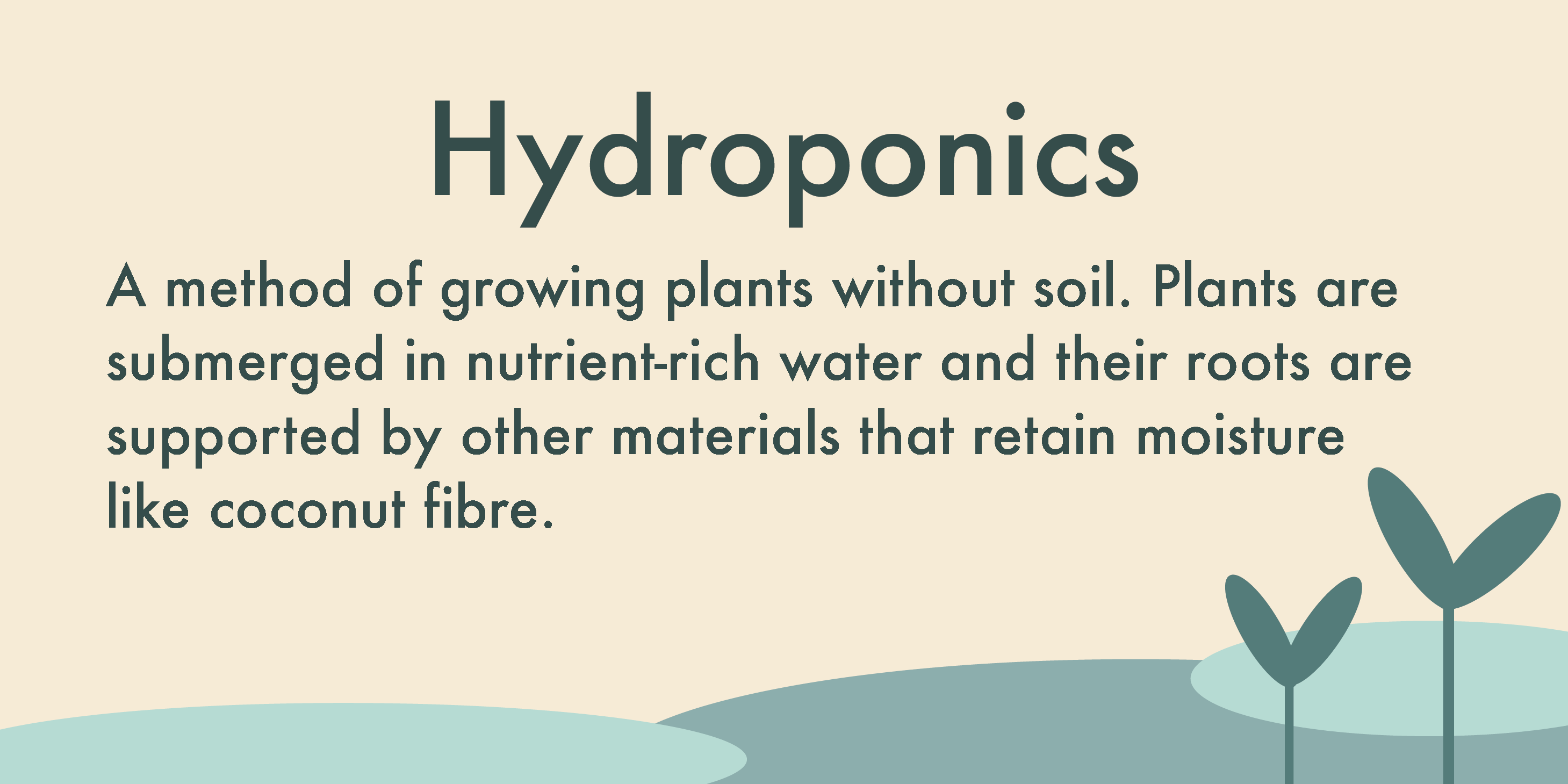 Hydroponics are a method of growing plants without soil. Plants are submerged in nutrient-rich water and their roots are supported by other materials that retain moisture, like coconut fibre.