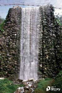 attractions and entertainment subject image