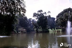 attractions and entertainment subject image