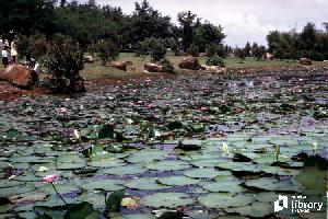 attractions and entertainment subject image