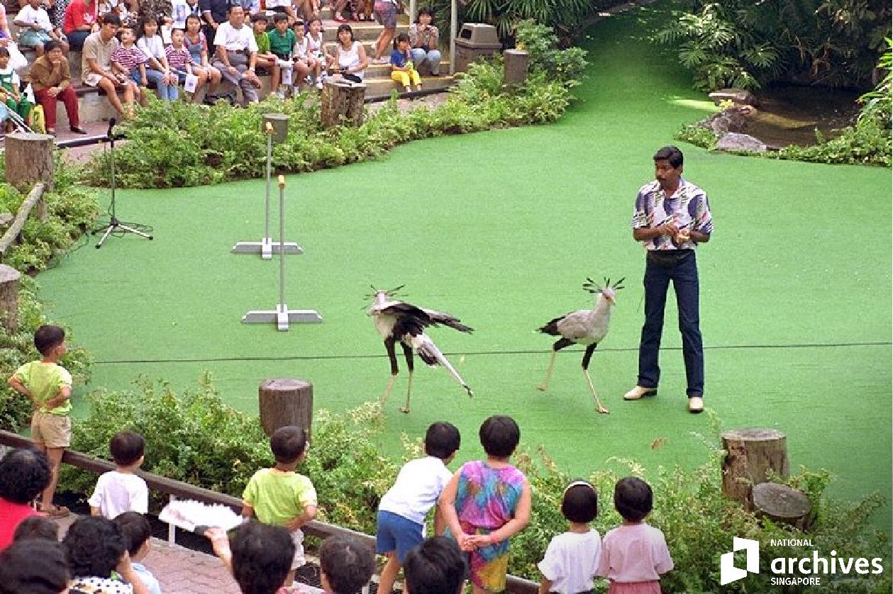 attractions and entertainment subject image