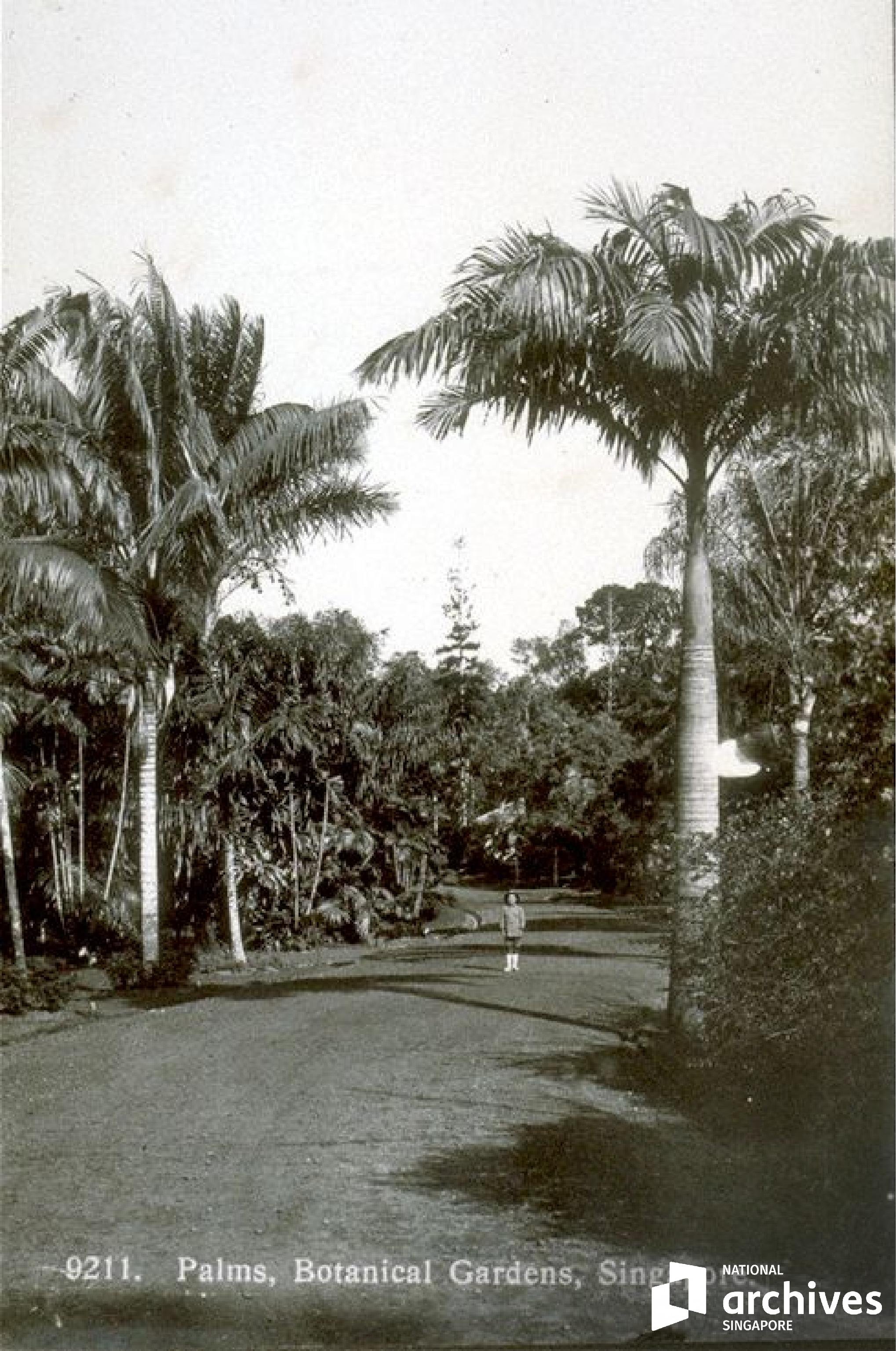 attractions and entertainment subject image