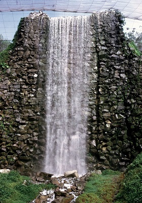 Attractions and Entertainment 