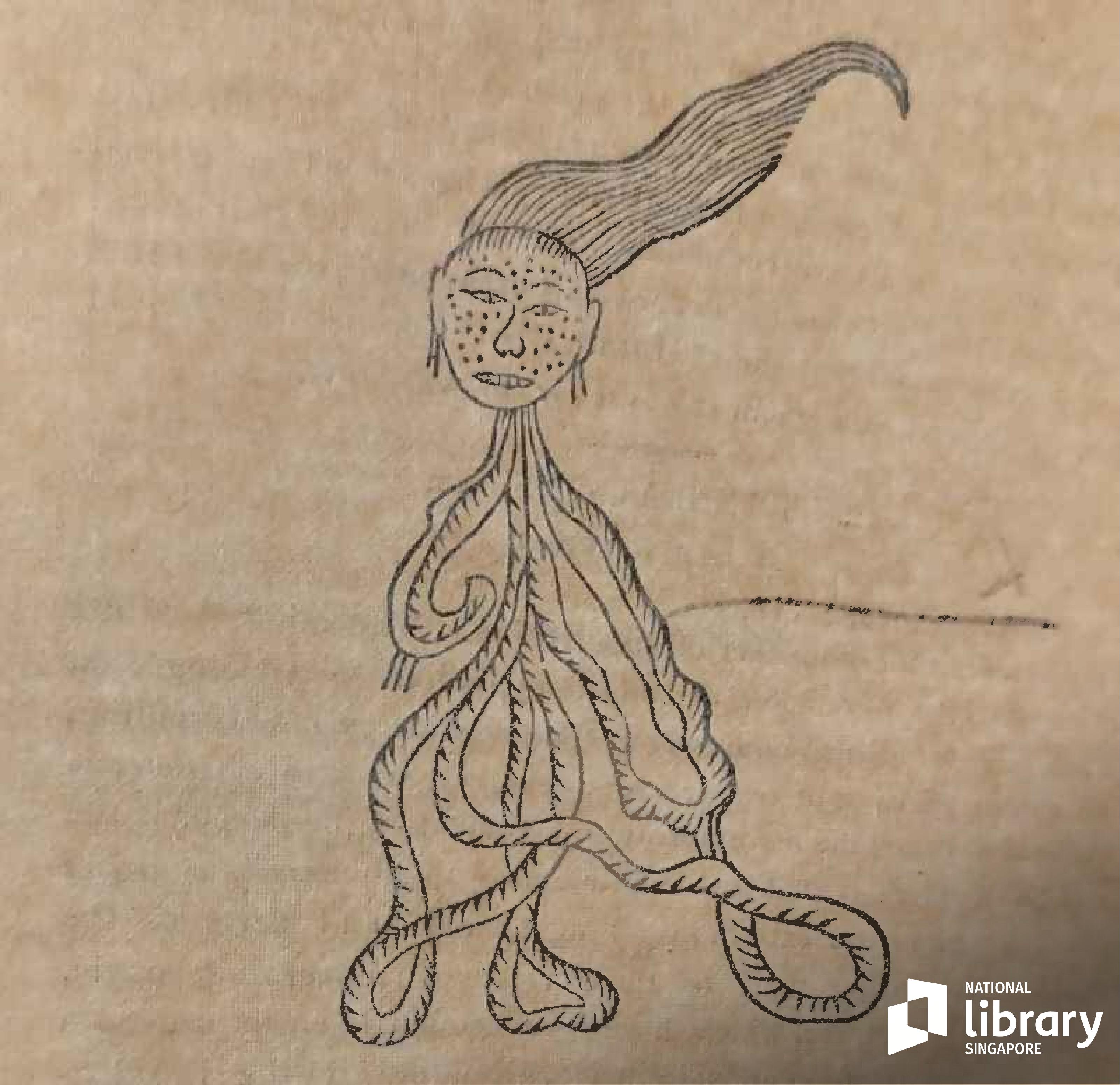 Drawing of a penanggalan