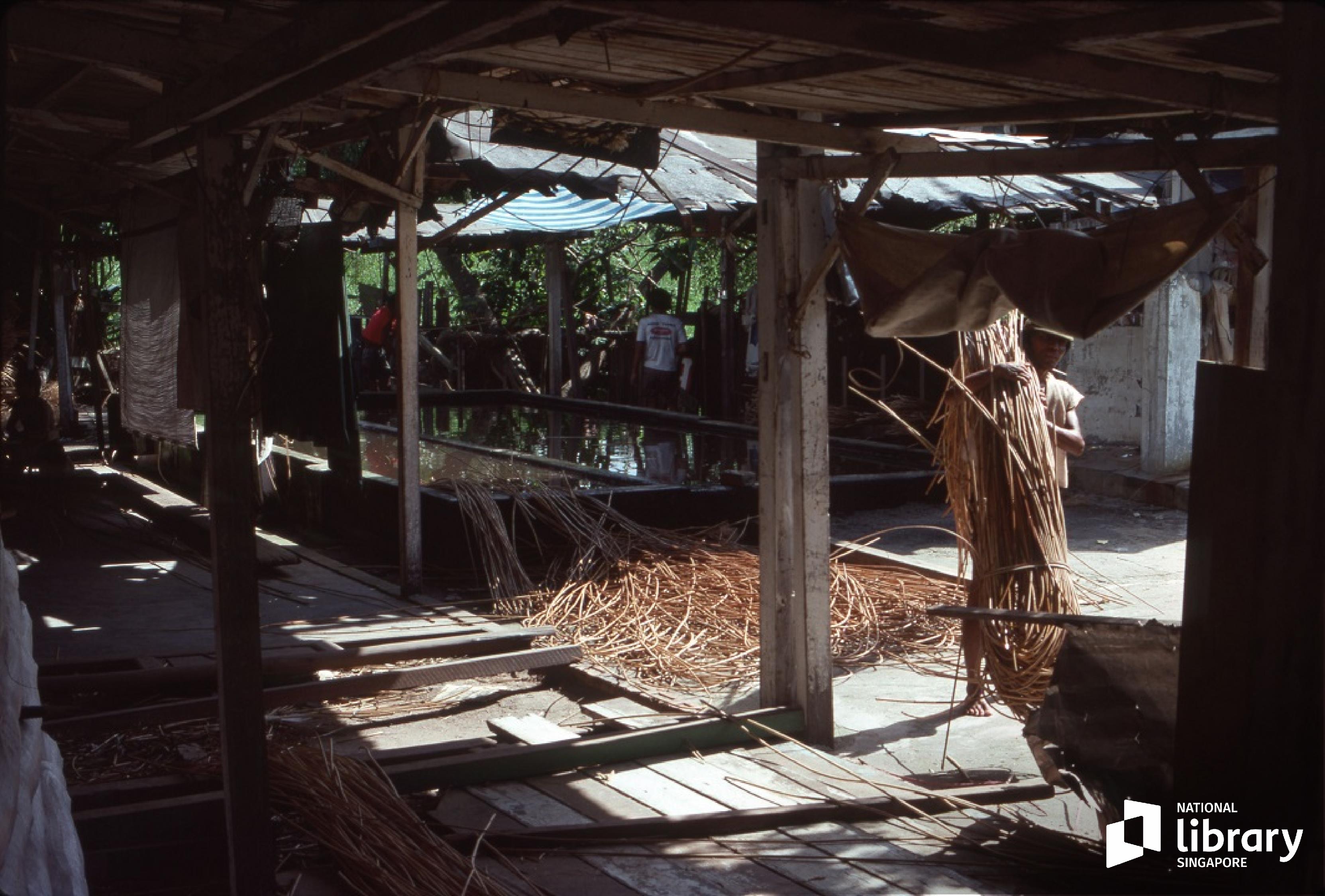 rattan processing shed