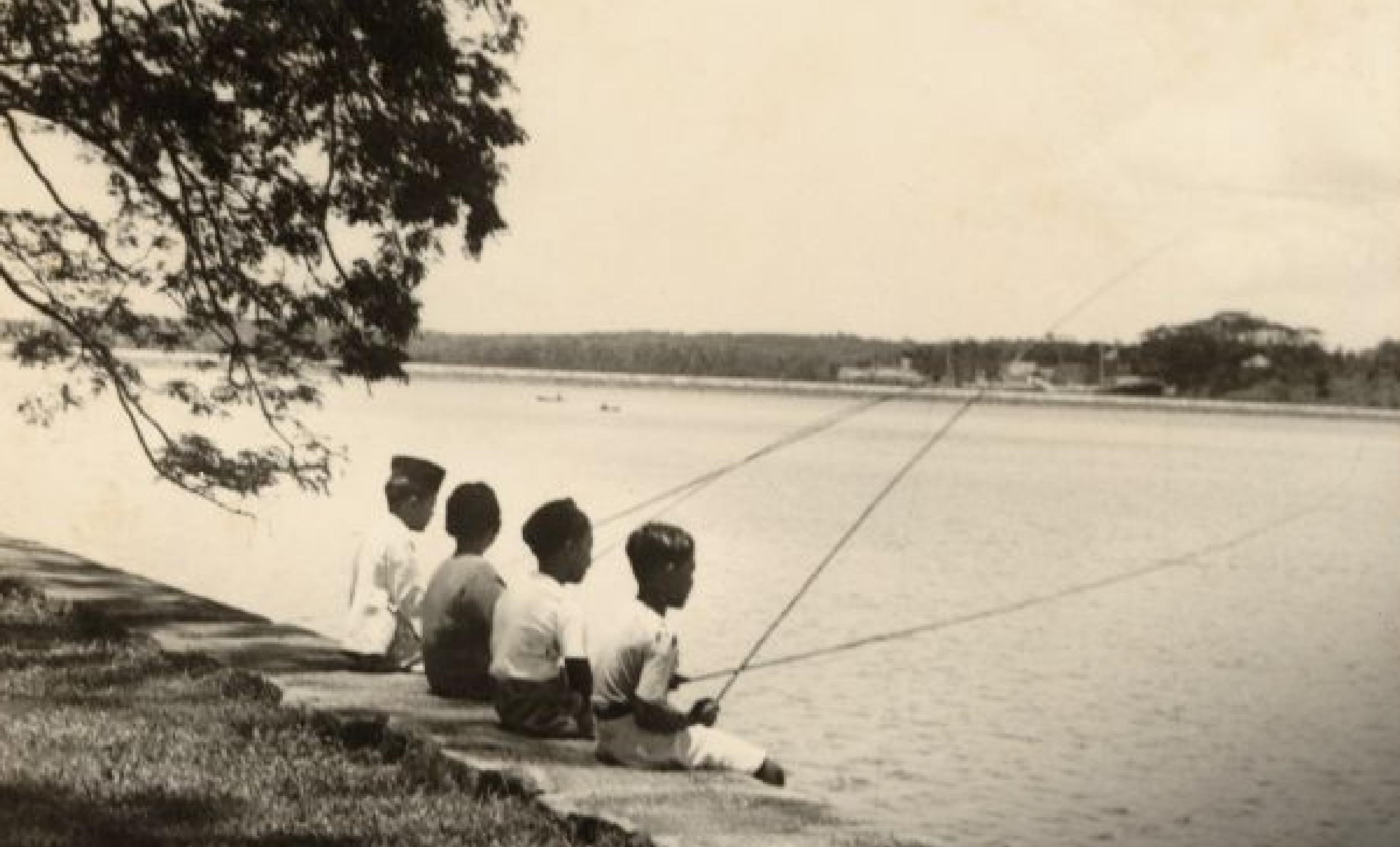 Programmes Highlight