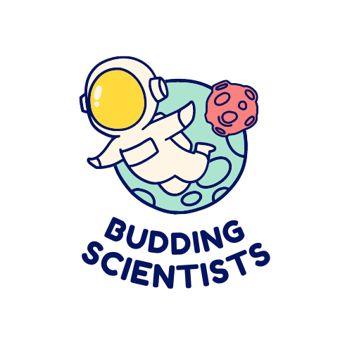 Budding Scientists