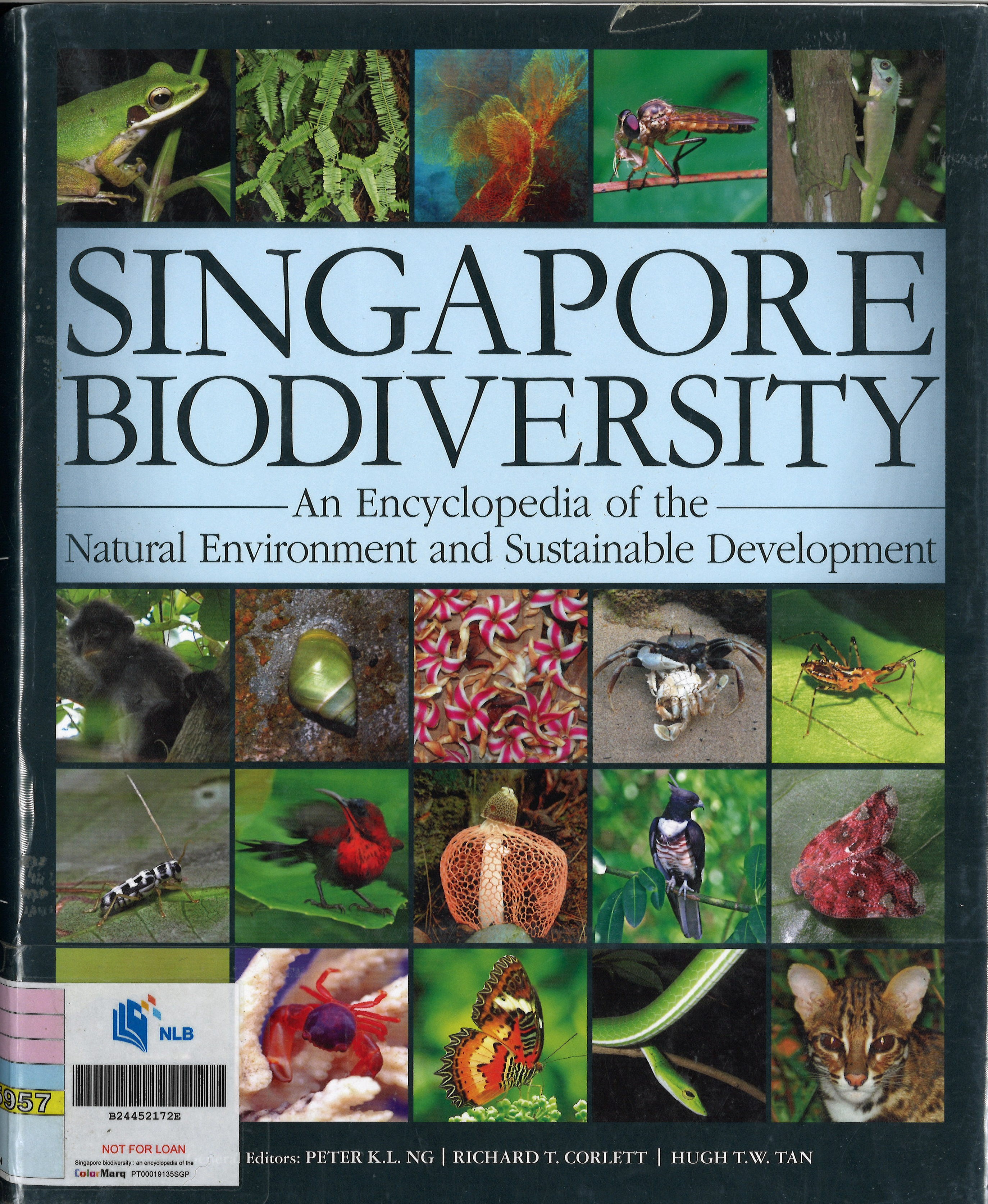 singapore biodiversity