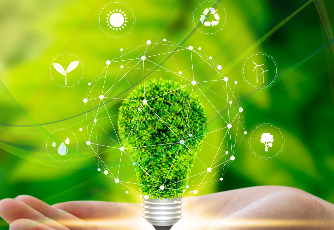 environmental sustainability